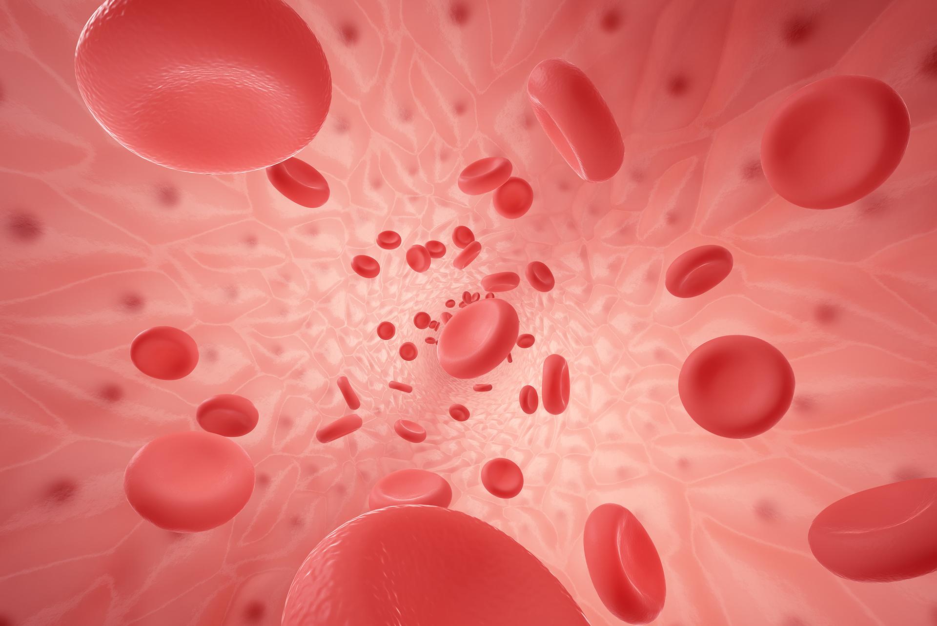 RBC Count Test: Meaning, Normal Range, and Causes