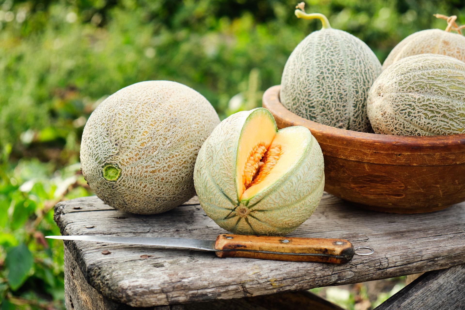 Muskmelon: Health Benefits, Nutritional Value, Side Effects