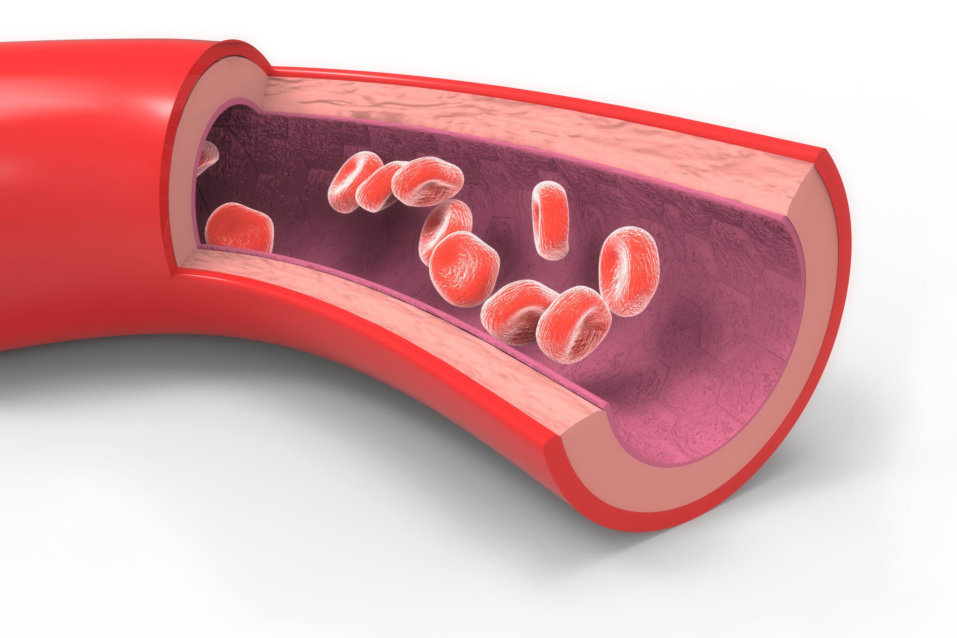 Apolipoprotein-B Test: 7 Important Facts You Need to Know