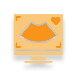 Echocardiogram